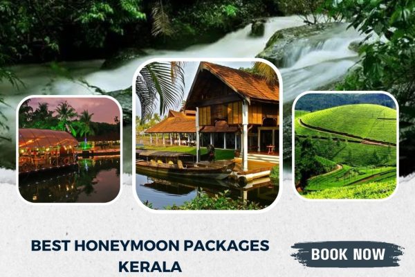 best honeymoon packages Kerala